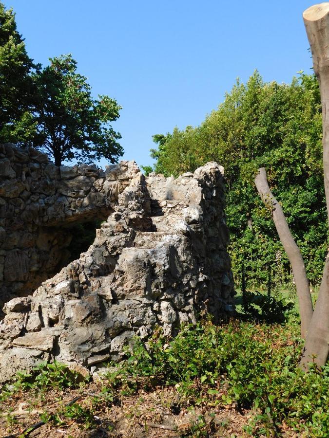 Appartamento Con Piscina Immersa Nel Verde Cascina Eksteriør bilde