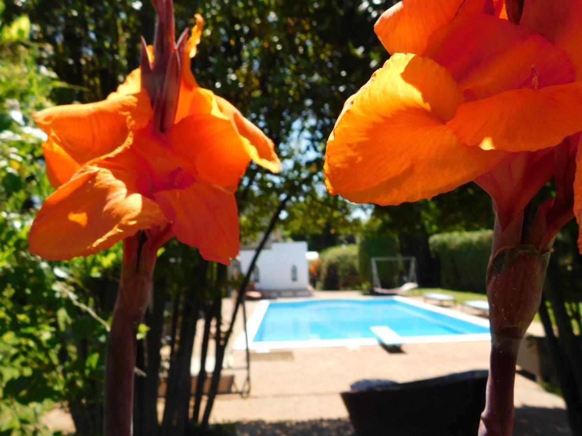 Appartamento Con Piscina Immersa Nel Verde Cascina Eksteriør bilde